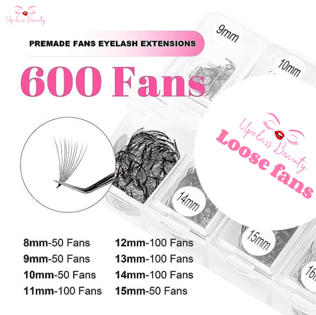 Bouquet préfet ( Loose fans )